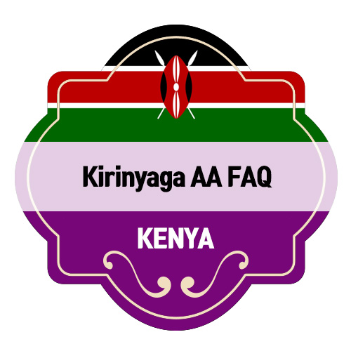 키리냐가 AA FAQ 워시드 1kg