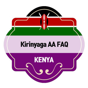 키리냐가 AA FAQ 워시드 20kg