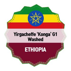 에티오피아 예가체프 콩가 G1 워시드