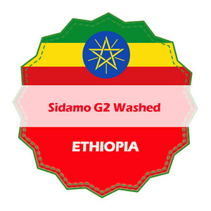 에티오피아 시다모 G2 워시드