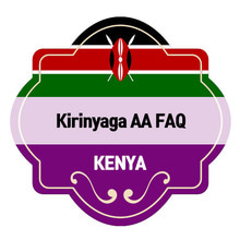 키리냐가 AA FAQ 워시드 5kg
