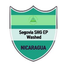 누에바 세고비아 SHG EP 워시드 1kg