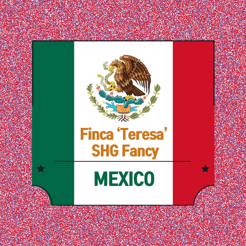 멕시코 테레사 에스테이트 SHG 팬시