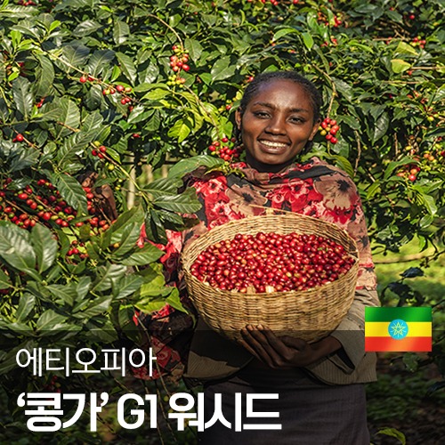 에티오피아 예가체프 콩가 G1 워시드