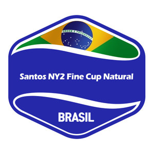 브라질 산토스 NY2 파인컵 내츄럴