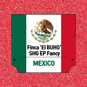 멕시코 부호 에스테이트 SHG EP 팬시