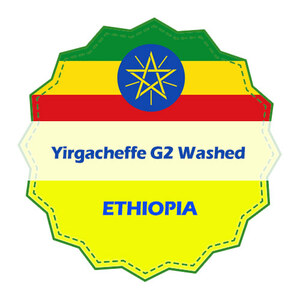 에티오피아 예가체프 G2 워시드